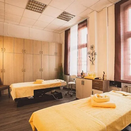 Boutique Badehof 4* באד זאלצשירף